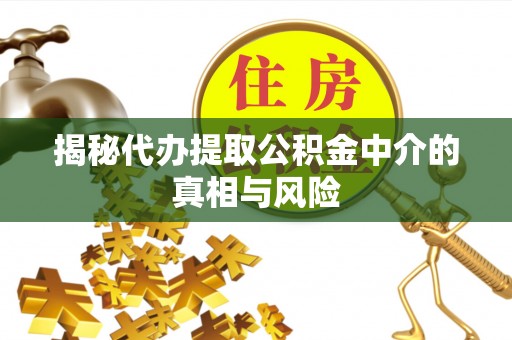蒙山揭秘代办提取公积金中介的真相与风险