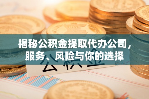蒙山揭秘公积金提取代办公司，服务、风险与你的选择