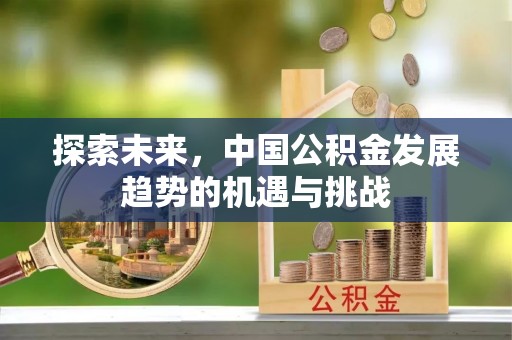 蒙山探索未来，中国公积金发展趋势的机遇与挑战