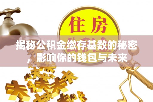 蒙山揭秘公积金缴存基数的秘密，影响你的钱包与未来